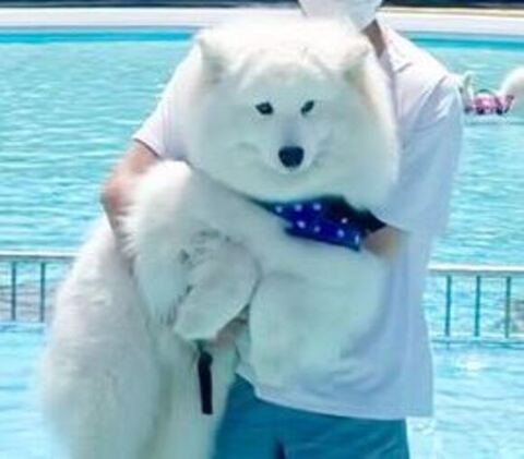 プール前の表情トリミング