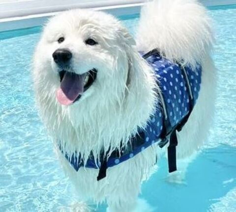 プール後の表情トリミング