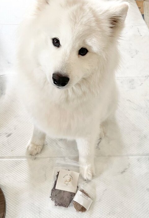 ジャーキーとソランくん