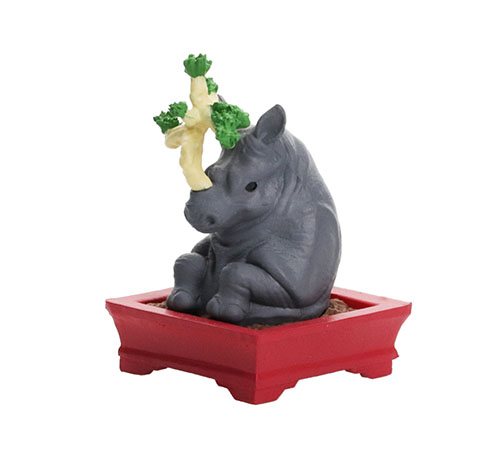 カプセルトイ『盆サイ』五葉松