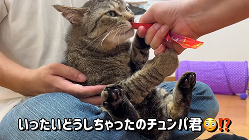 どうしちゃったの