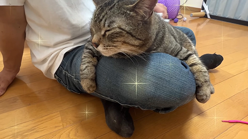 うっとりチュンパくん