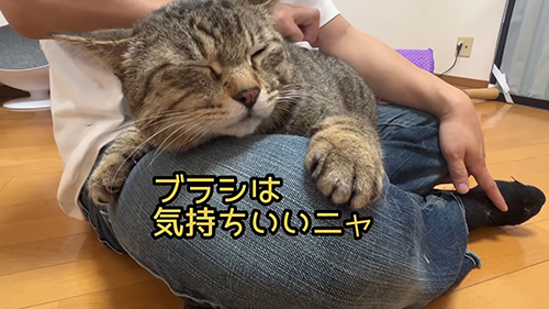 気持ちいいニャ