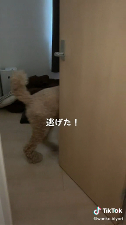 部屋に戻るラウル