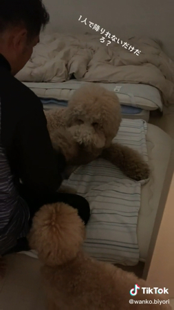 ラウル君を起こす飼い主