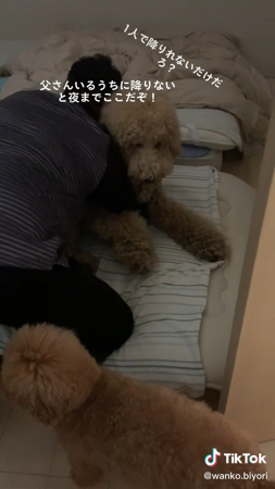 ラウルくんを抱っこする飼い主