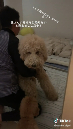 ラウルくんを起こした飼い主