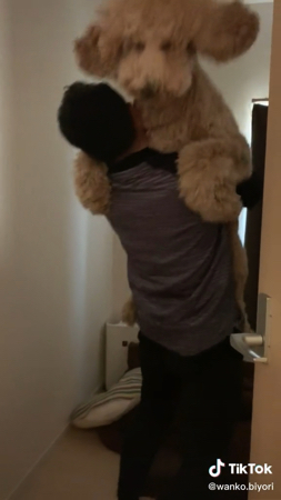 ラウルくんを持ち上げる飼い主