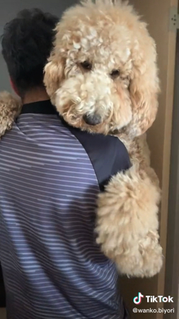 おとなしく抱っこされるラウルくん