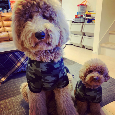 ラウルくんとプジョルくん