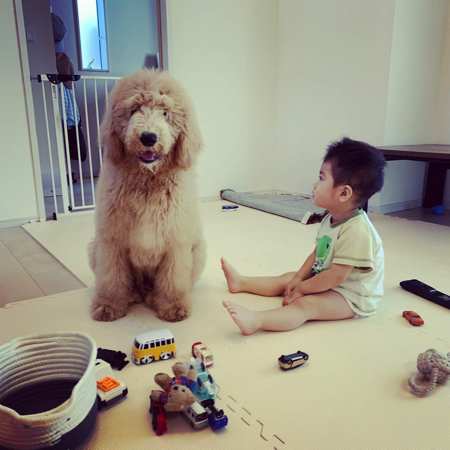 ラウルくん子犬時時代