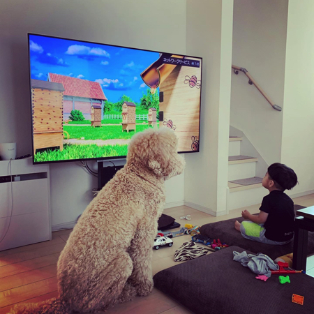 息子さんを見守るラウルくん