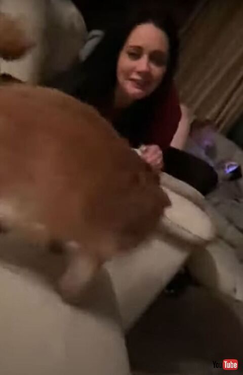 女性のもとに行く犬