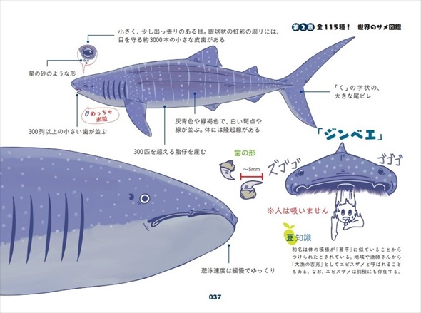 イラスト解説の次ページ