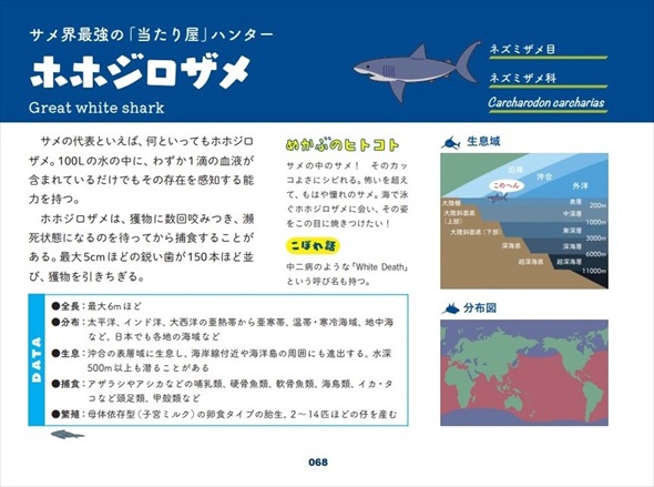 世界のサメ大全