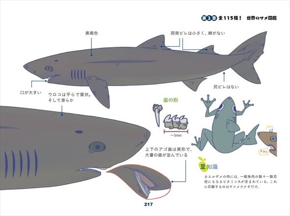世界のサメ大全試し読み