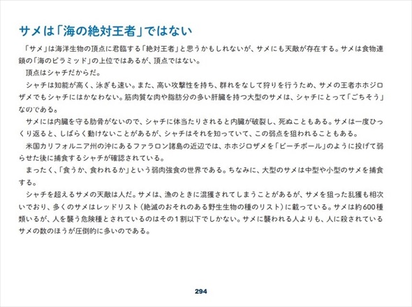 サメと人との関係