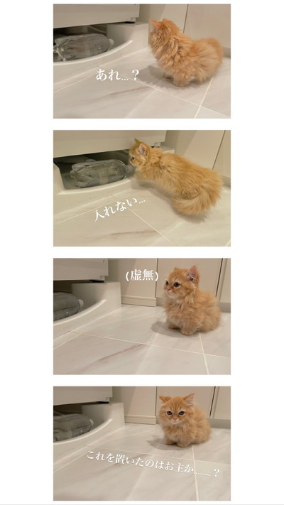 洗濯機の下に入りたいうなちゃん