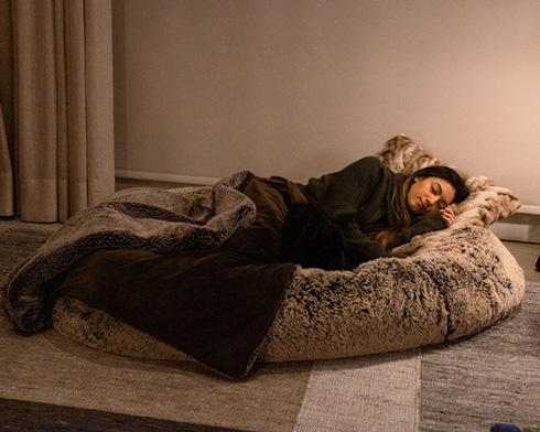 犬用ベッドから着想を得た人間用ベッドが登場　ペット気分でお昼寝できるかも？