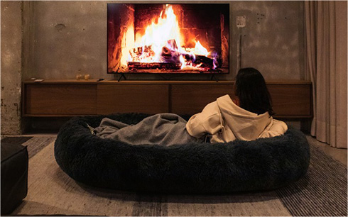 犬用ベッドから着想を得た人間用ベッドが登場　ペット気分でお昼寝できるかも？