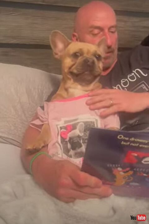 遠くを見ているワンコ