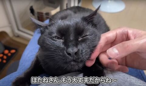 甘えてるほたねちゃん正面