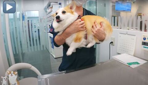 舌をだしているつむぎちゃん