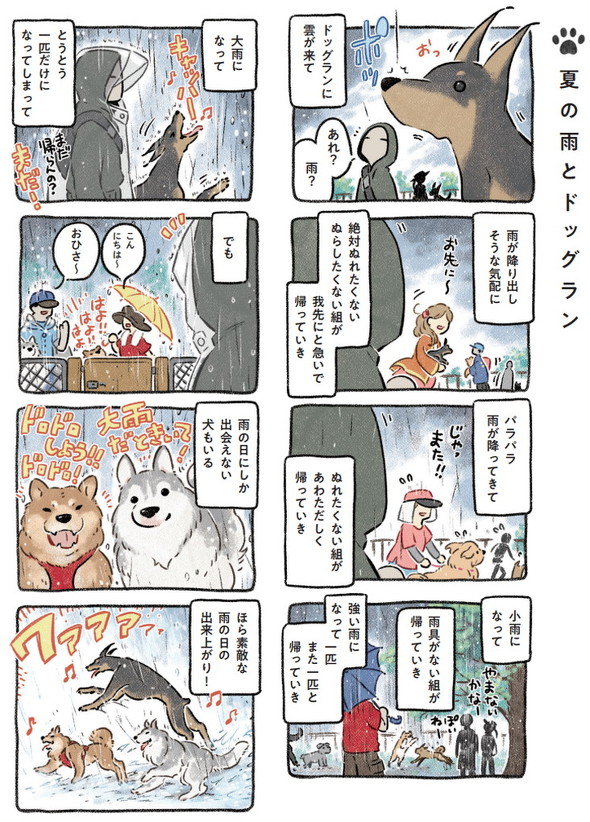 夏の雨とドッグラン