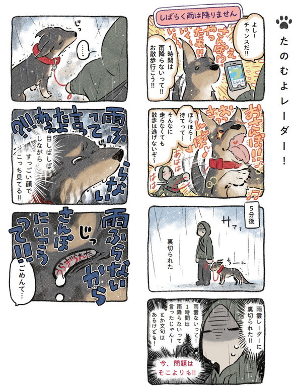 たのむよレーダー