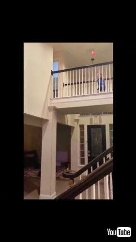 「Toddler Shoots Mind-Blowing Basketball Trickshots - 1283858」