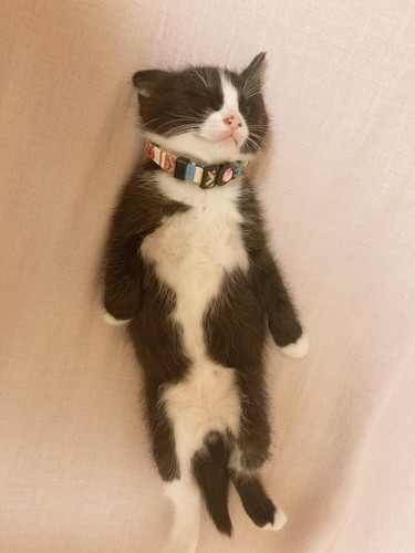 おすすめ