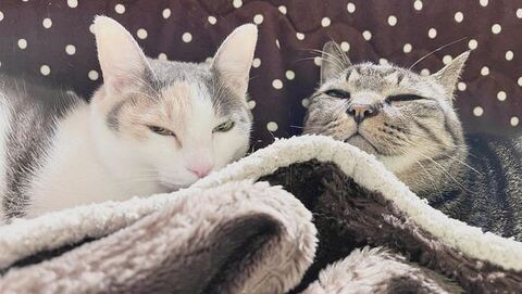 こはるちゃんとえるくん