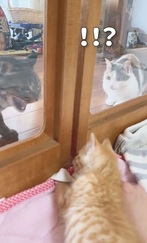 威嚇するえるくん