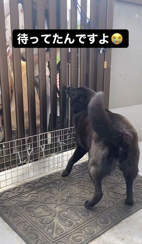 こはるちゃんとえるくん