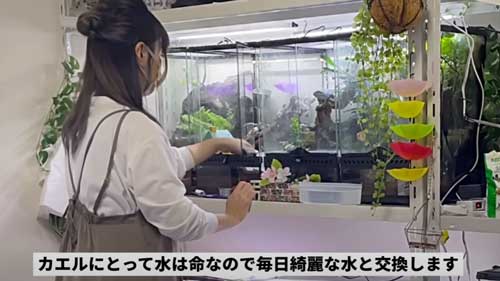 飼い主朝のルーティン