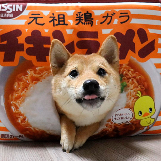 チキンラーメンにフィット