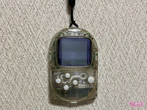 ポケステ