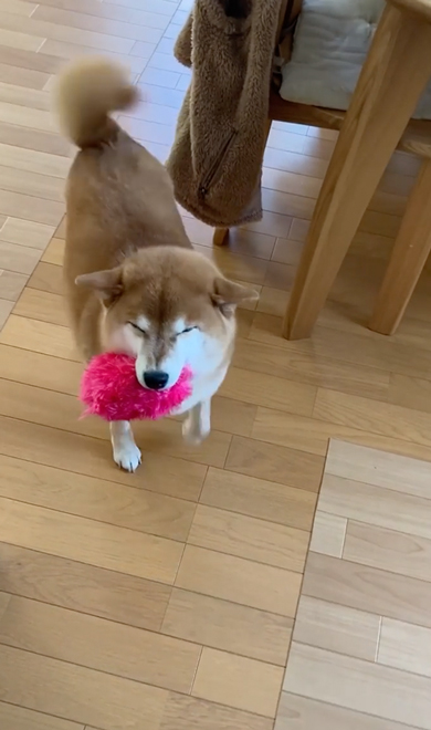 ルンルンステップ