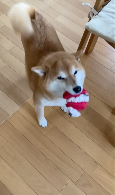 変わった形のおもちゃ