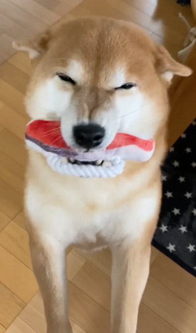 変わった形のおもちゃ