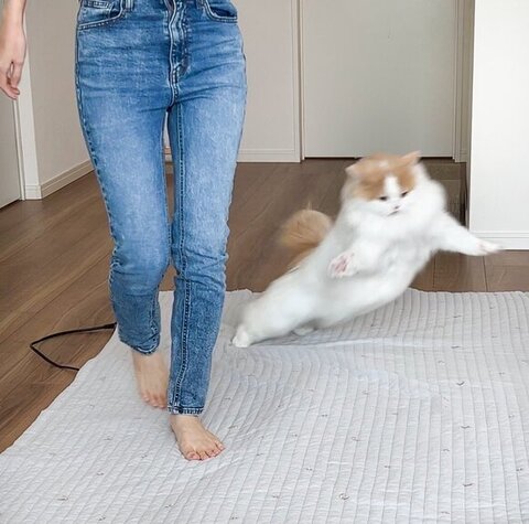 飛んでるレモンくん