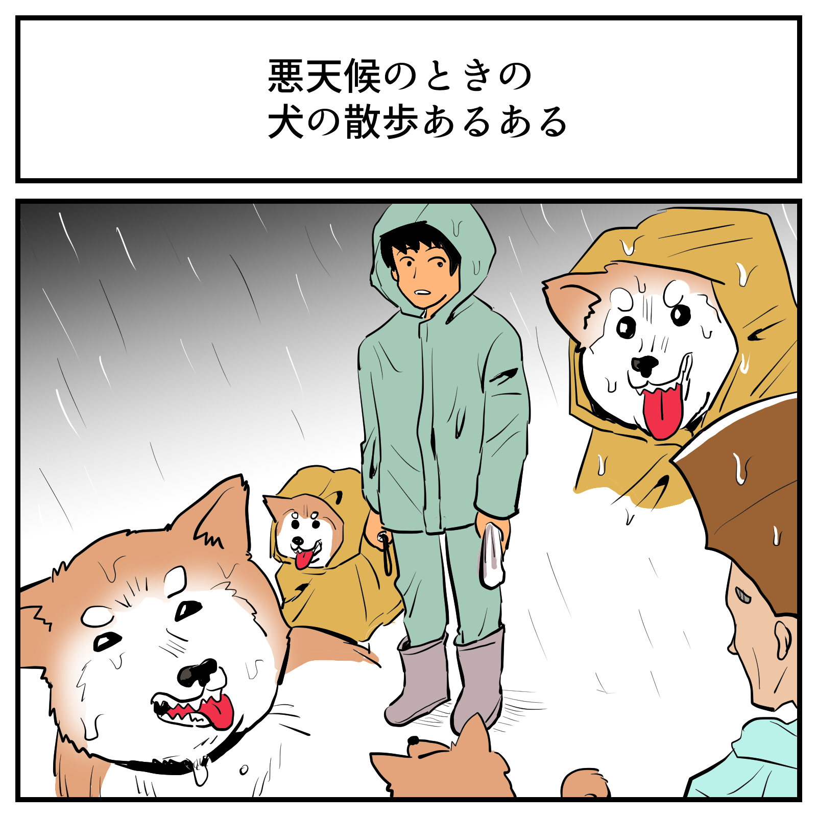 その視点はなかった