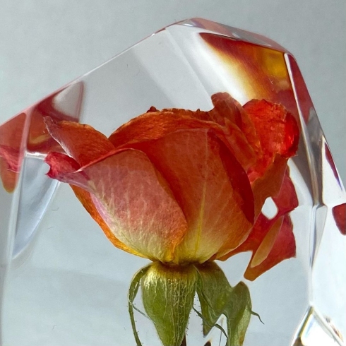 レジンにバラ
