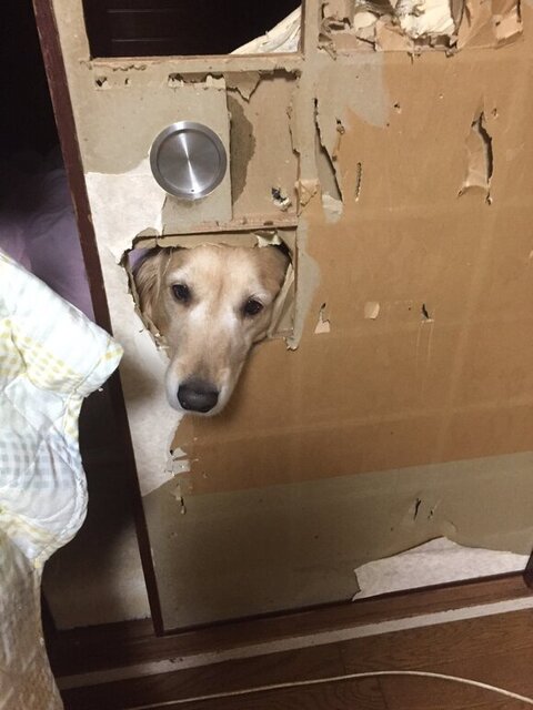 おすすめ