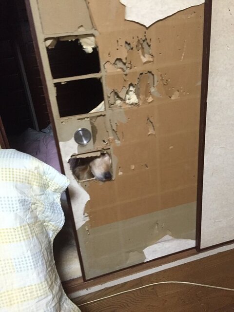 穴からお鼻だしてる