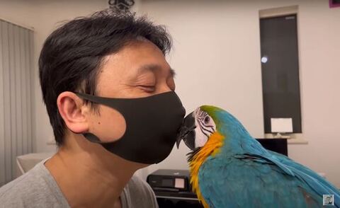 キスしてる姿斜め横から