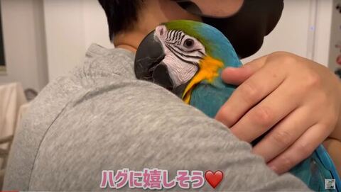 ハグされてる