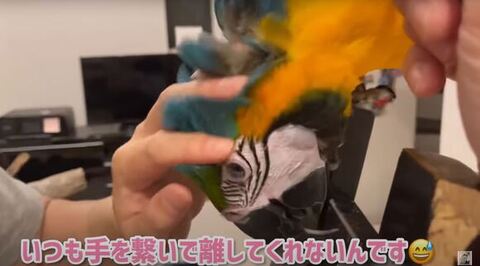 頭わしゃわしゃされてる