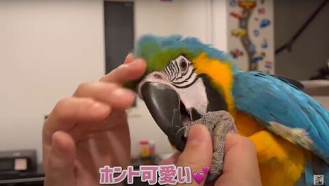 足を持たれてる