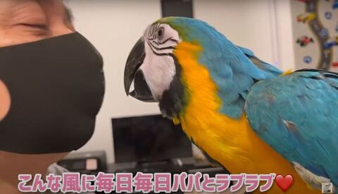 見つめ合ってる